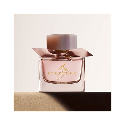 ebay burberry lady blush perfume|Burberry blush perfume 50ml.